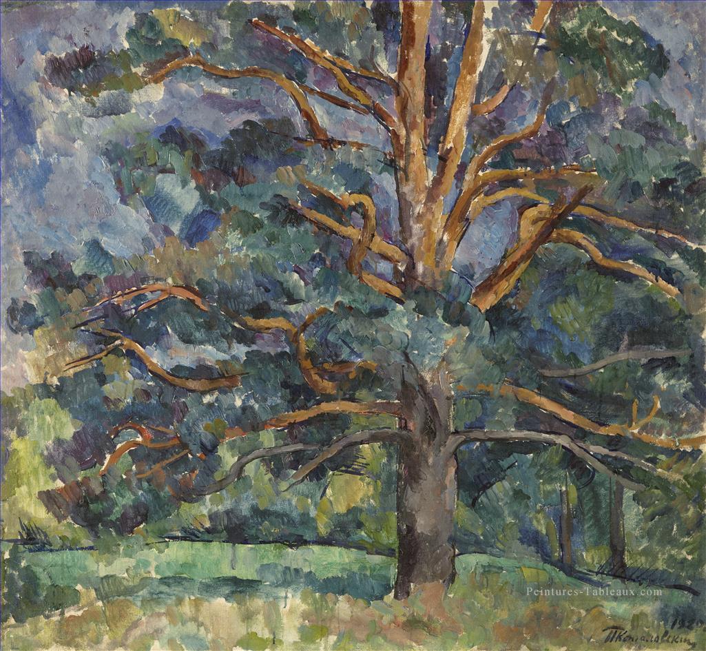 PINES Petr Petrovich Konchalovsky bois paysage d’arbres Peintures à l'huile